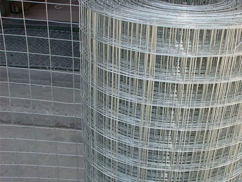 Galvanized Welded Wire Mesh